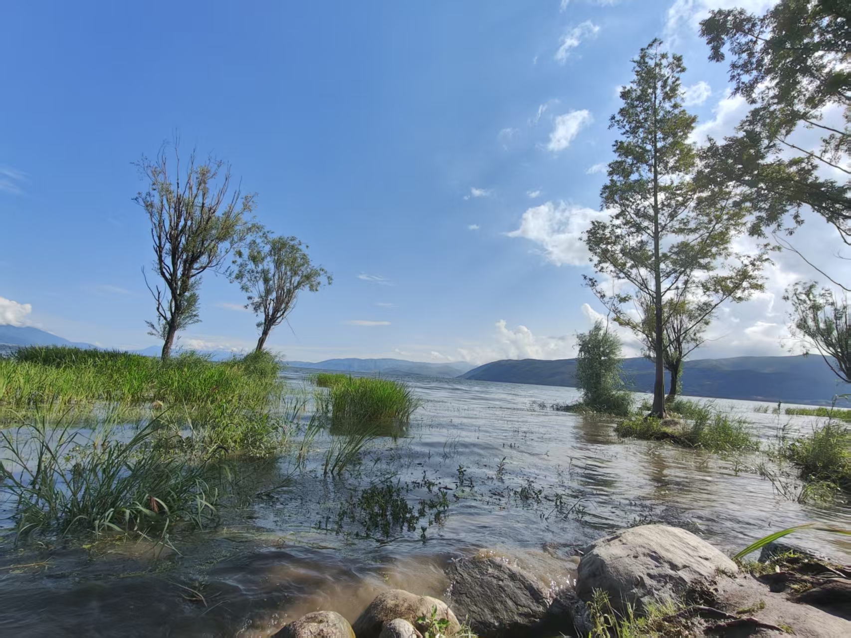 image-20251231220958403